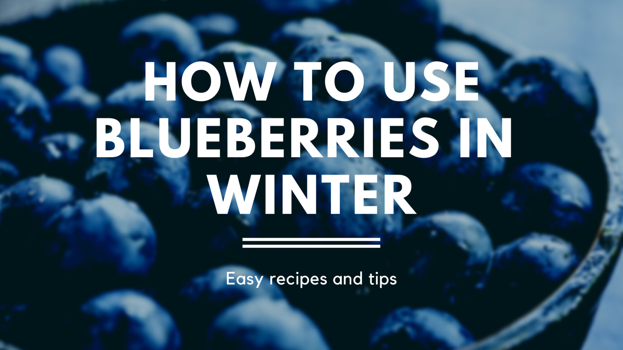 HOW TO USE BLUEBERRIES IN WINTER JK Wellness and Nutrition